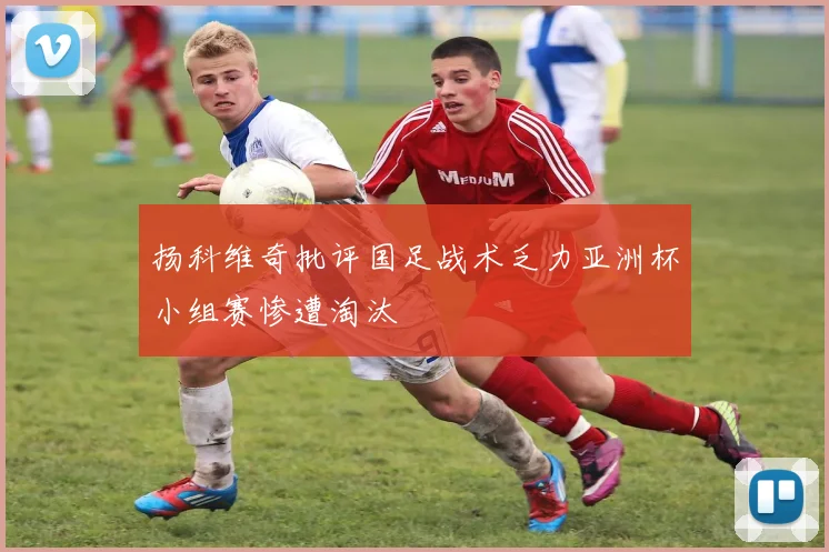 扬科维奇批评国足战术乏力亚洲杯小组赛惨遭淘汰