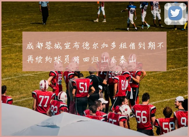 成都蓉城宣布德尔加多租借到期不再续约球员将回归山东泰山